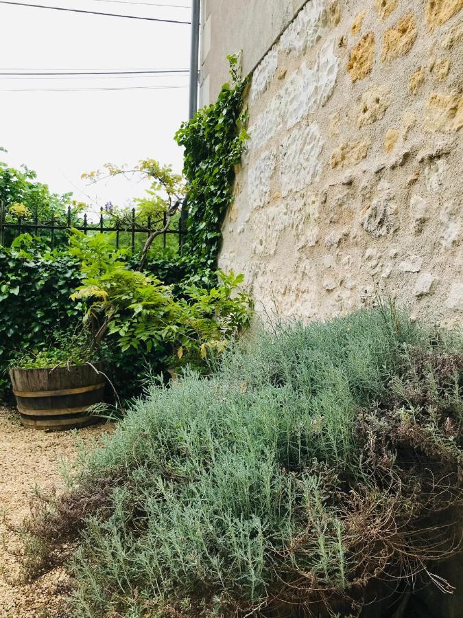 Villaines-les-Rochers Gite Ecrin D'Artiste מראה חיצוני תמונה